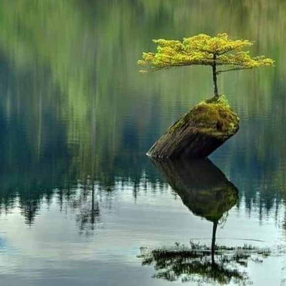 Meet your Posher, Kwame - Picture 1 of 1